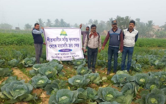আনাজের দর পাচ্ছেন না কৃষকরা। সহায়তায় এবার কৃষি দফতর