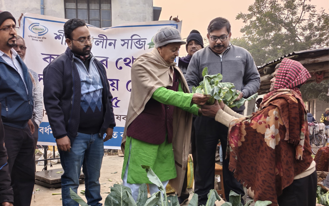 দাম পাচ্ছেন না কৃষকরা। ফুলকপি চাষিদের বাঁচাতে উদ্যোগ কৃষি বিপণন দফতরের