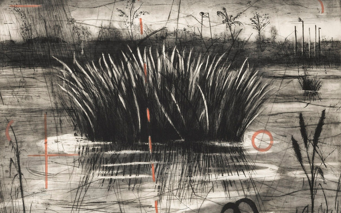 কালো পাখি