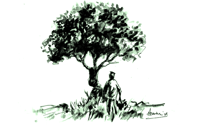 একটি গাছের গল্প