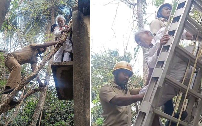 চাবি খুঁজতে গাছের মগডালে নবতিপর, উদ্ধারে দমকল