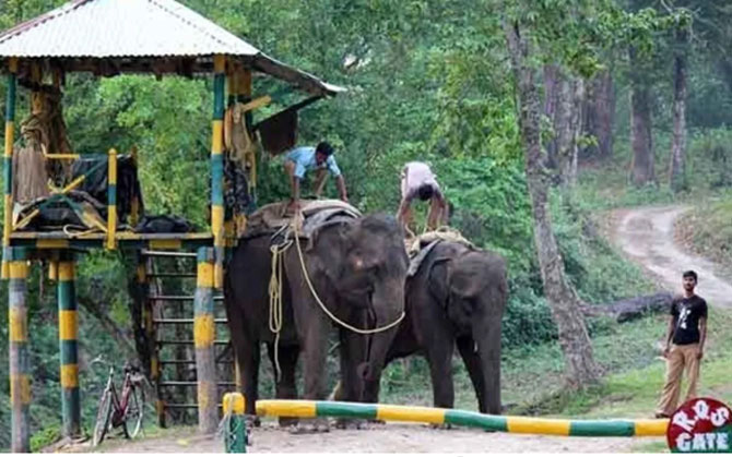 বনাঞ্চল ঘেরা ভোটকেন্দ্রে কড়া নজরদারি, জওয়ানদের সঙ্গে থাকছেন বনকর্মীরা
