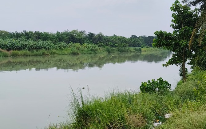 বলাগড় বন্দর – বাণিজ্য বনাম বাস্তুতন্ত্র