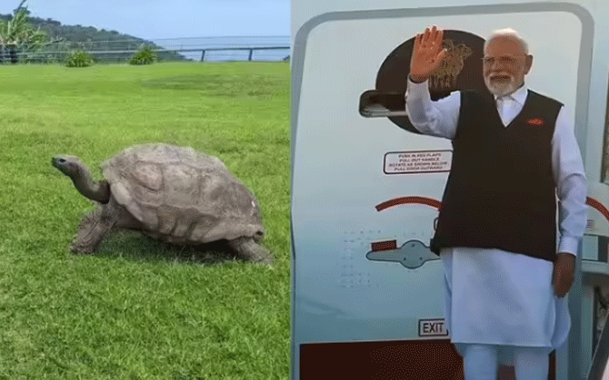 দীর্ঘজীবী ‘জোনাথন’-এর সঙ্গে সাক্ষাৎ, সেশেলস সফরে মোদি