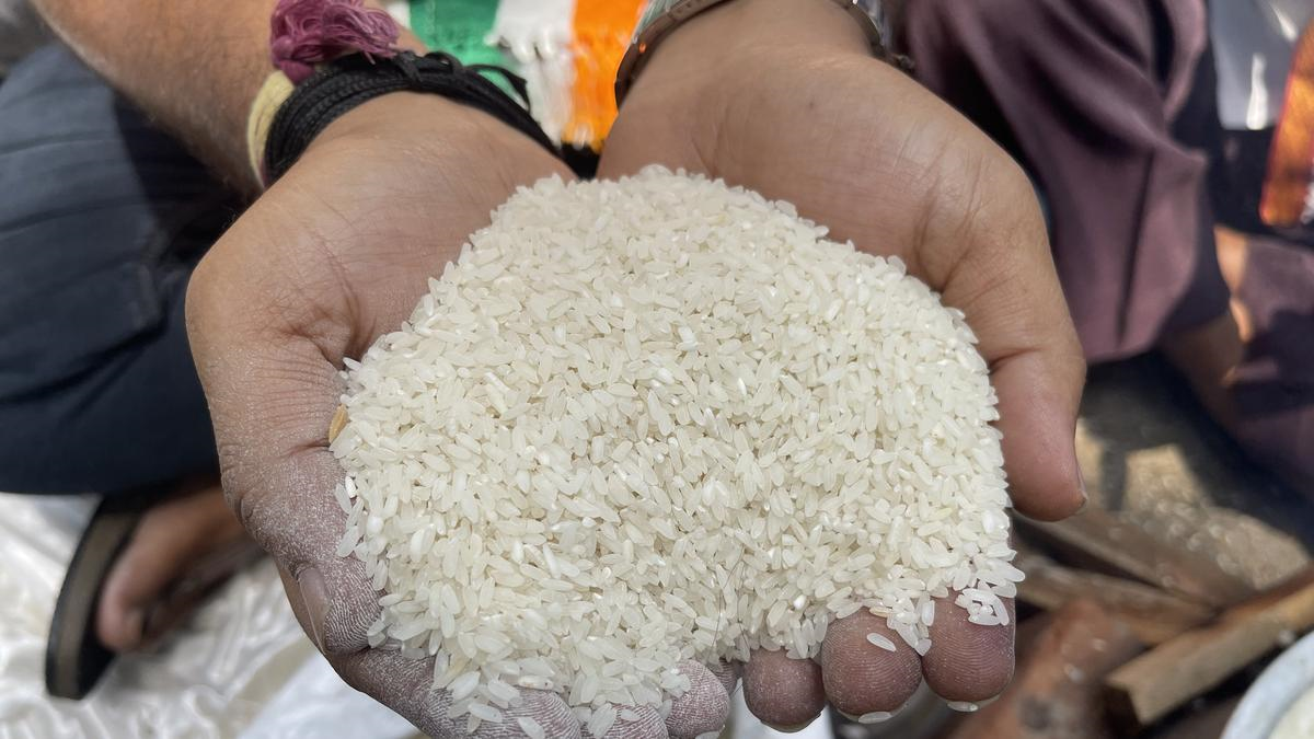 খাদ্য সুরক্ষা আইনে বদলের প্রস্তাব কেন্দ্রের, প্রাপ্য কমার সম্ভাবনায় দেশজুড়ে তীব্র বিতর্ক