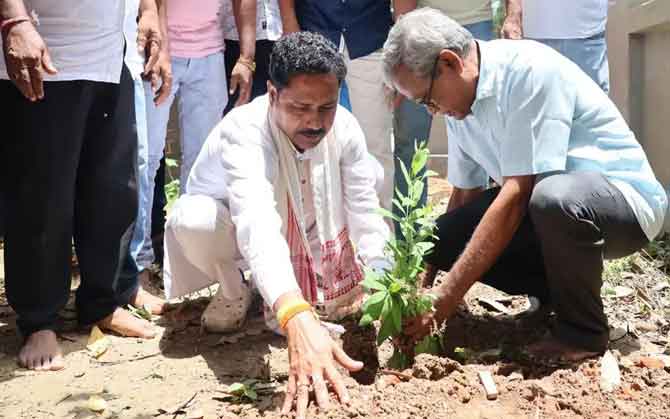 সবুজায়নের উদ্দ্যোগ পূর্ব বর্ধমানে